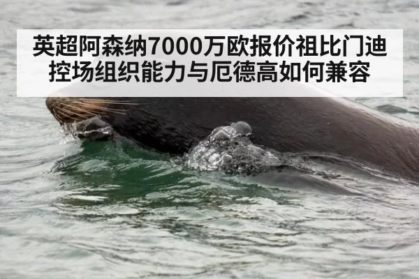 英超阿森纳7000万欧报价祖比门迪 控场组织能力与厄德高如何兼容 - pgdianzi
